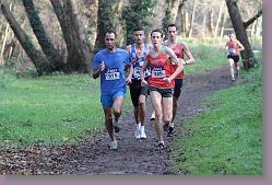 Begles 15.12.13 01 1079 * 679 x 453 * (148KB)